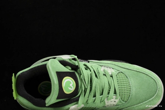 AJ4-904284 4 PE  Air Oregon Duck  Jordan Green AJ4-904284 1114